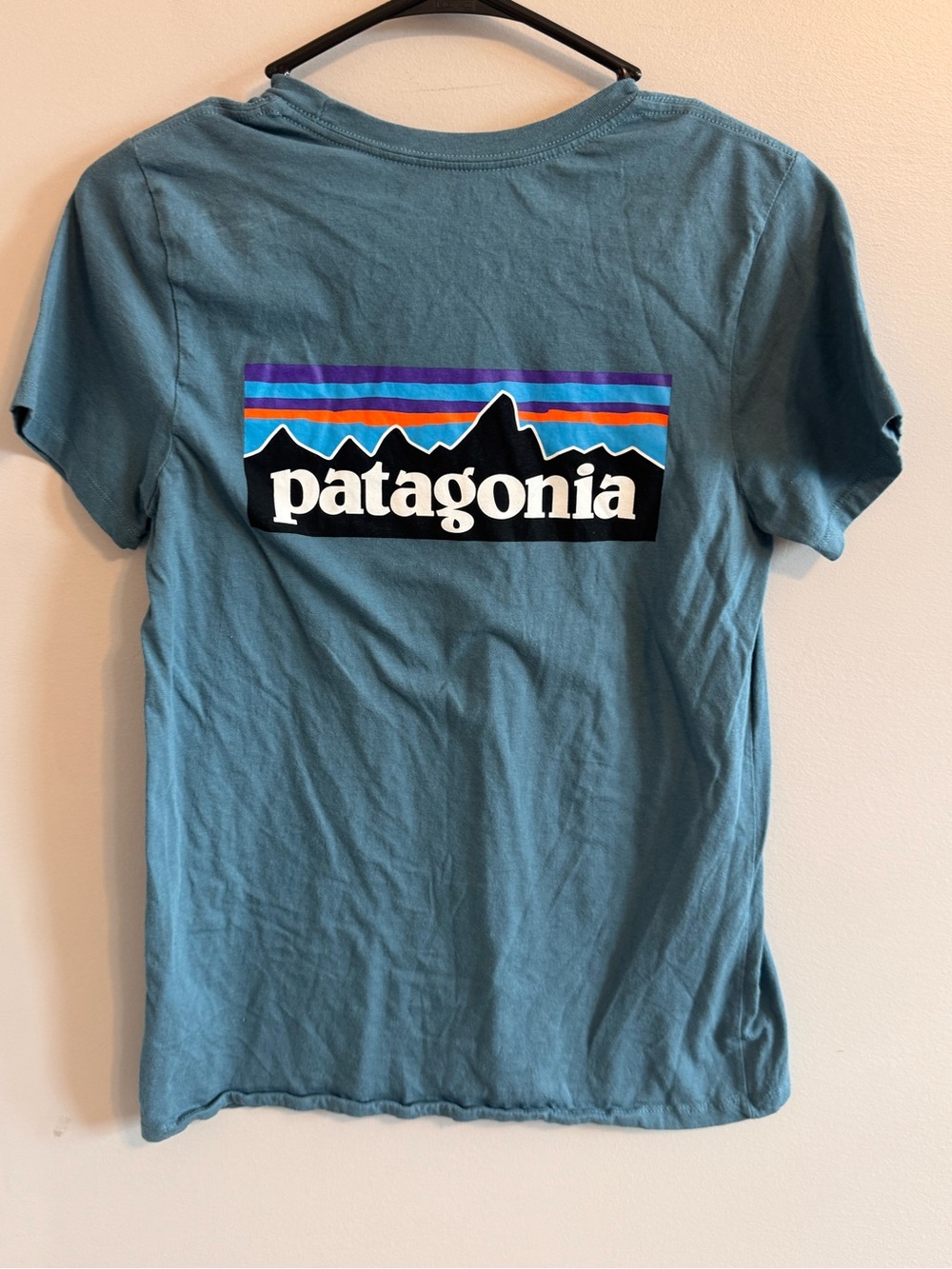 Patagonia Organic Cotton Logo T-Shirt XS Blue Fitz Roy Graphic Tee